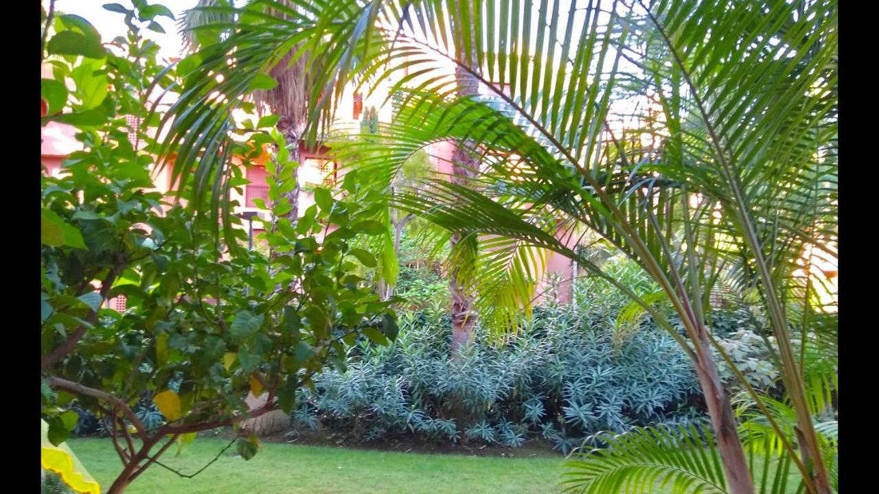 Marbella Alicate Beachfront - Luxury Apartment-2 Extérieur photo